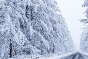 Фотография к новости: Осадки и похолодание ожидаются в мегаполисах Казахстана