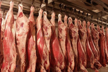 Фотография к новости: Ограничения на экспорт мяса могут ударить по фермерам в Казахстане