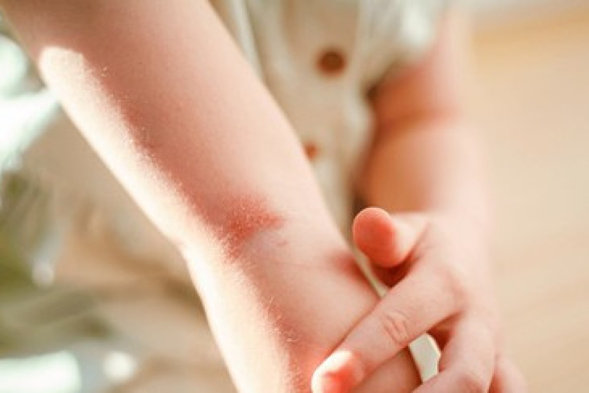  shutterstock.7eer.net