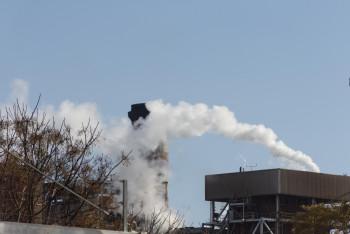 Фотография к новости: Бизнесу в Алматы объяснили, как внедрять экологические нормы без штрафов