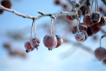 Фотография к новости: Какой будет погода в Казахстане в конце января