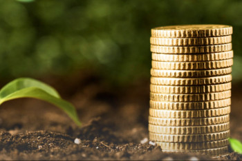 Фотография к новости: Аграриям Казахстана выделяют средства на посевную под 5% годовых