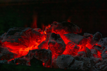 Фотография к новости: Экологи выявили нарушения у угольных компаний Павлодарской области