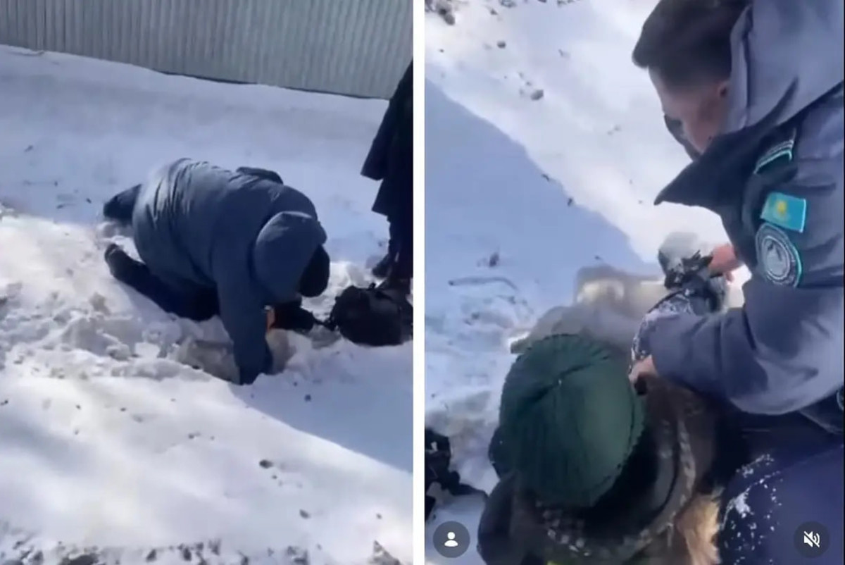  ДП Акмолинской области