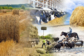 Фотография к новости: За 5 лет количество сельхозкооперативов в Казахстане выросло в 1,5 раза