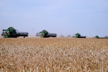 Фотография к новости: Казахстан переходит к прогрессивной агроэкономике