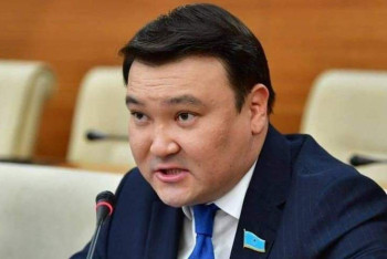 Фотография к новости: Мажилисмен разъяснил спорные моменты проекта Конституции