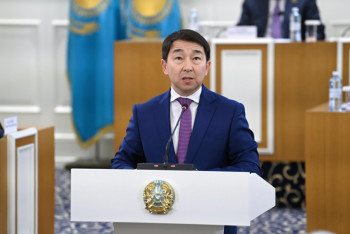 Фотография к новости: Казахстанцы не могут иметь двойного гражданства - в проект новой Конституции внесли уточнение