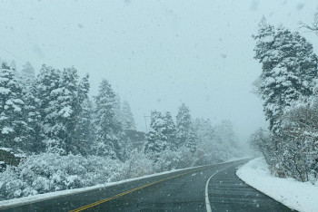 Фотография к новости: Дороги Павлодара бьют по людям: более 100 пострадавших и пять погибших