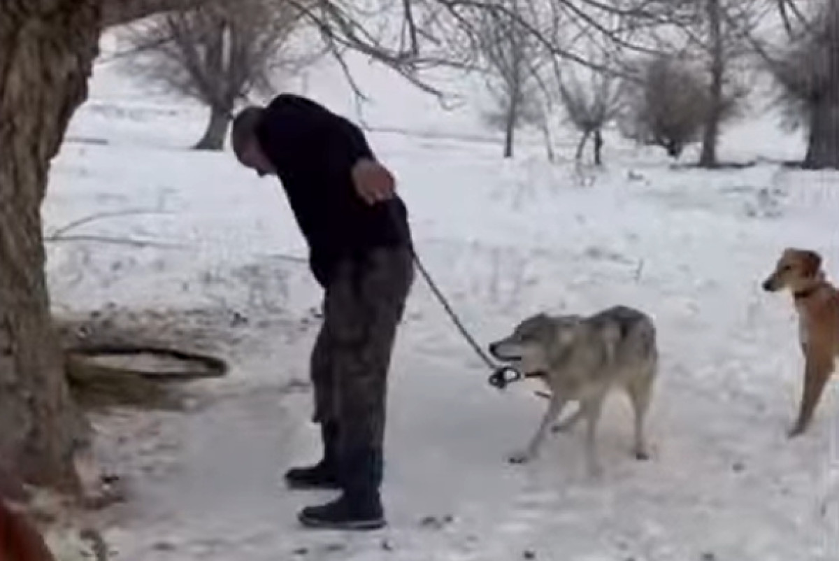  кадр из видеозаписи