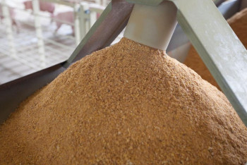 Фотография к новости: Казахстан отправил целый поезд с кормовой мукой в Китай