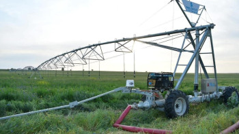 Фотография к новости: Водосберегающие технологии помогают выращивать рис и хлопок в Туркестанской области