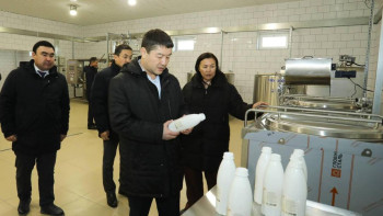 Фотография к новости: Цех по переработке верблюжьего молока запустят в Мангистауской области