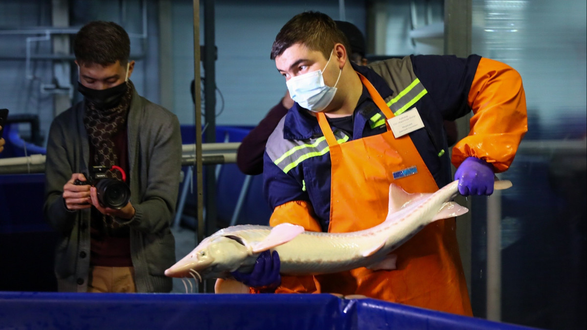  BAQ.KZ  – архив