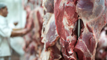 Фотография к новости: В Алматы наращивают прямые поставки мяса от фермеров