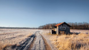 Фотография к новости: Экономия или удар по селам? В Казахстане хотят отказаться от асфальта в малых  деревнях