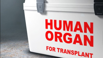 Фотография к новости: Казахстанец через соцсети пытался продать почку за 13 млн тенге