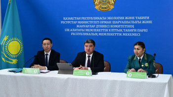 Фотография к новости: 5 млн деревьев высажено в  Иле-Алатауский национальном природном парке за 30 лет