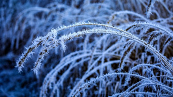 Фотография к новости: Снег, метель и мороз до −37°C накроют Казахстан к концу февраля