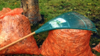 Фотография к новости: Жителя Шымкента оштрафовали за выброс строительного мусора