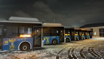 Фотография к новости: Автобусы по всему Казахстану стали площадкой информирования о проекте новой Конституции 