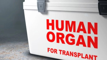 Фотография к новости: В Кокшетау пресекли попытку продажи почки за 25 тысяч долларов