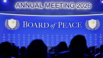 Фотография к новости: У Совета мира появился свой сайт