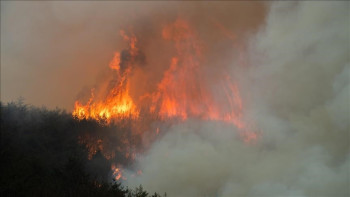 Фотография к новости: В Южной Корее второй день тушат крупный лесной пожар