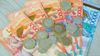 Фотография к новости: В Костанайской области за нарушения в сфере экологии оштрафовали 21 предприятие