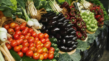 Фотография к новости: Очередная сельскохозяйственная ярмарка пройдёт в Астане