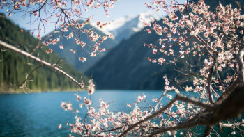 Фотография к новости: Казахстан приблизился к топ-50 стран по развитию туризма