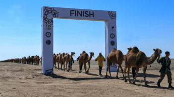 Фотография к новости: Алматинская область вошла в топ-3 в стране по развитию туризма