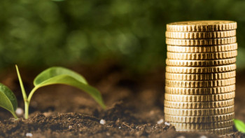 Фотография к новости: В Минсельхозе объяснили, откуда берутся долги по субсидиям перед аграриями