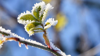 Фотография к новости: Зима держит Казахстан в морозах: потепление придёт только со 2 марта
