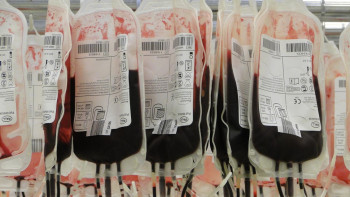 Фотография к новости: После взрыва в Щучинске объявлен срочный сбор донорской крови