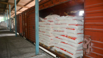 Фотография к новости: МИД прокомментировал сообщения об отправке военных в Сектор Газа