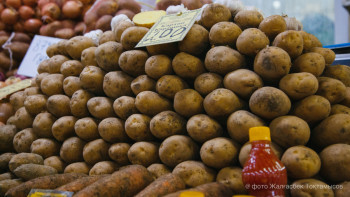 Фотография к новости: Правительство Казахстана решило не вводить запрет на экспорт картофеля