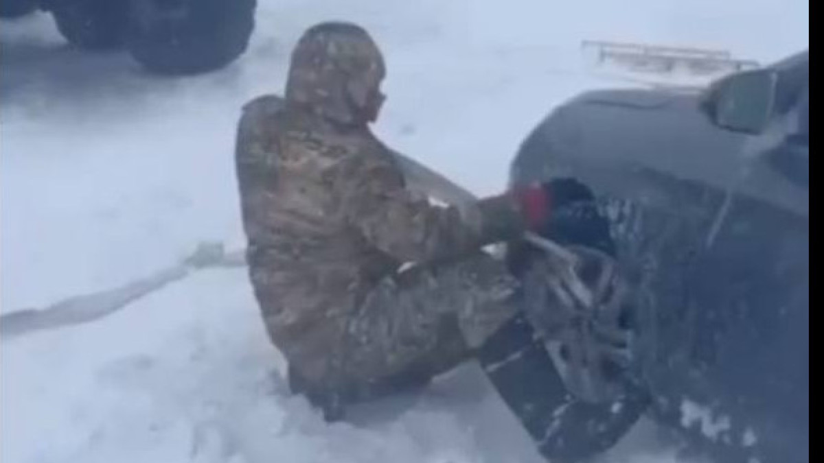  скриншот видео