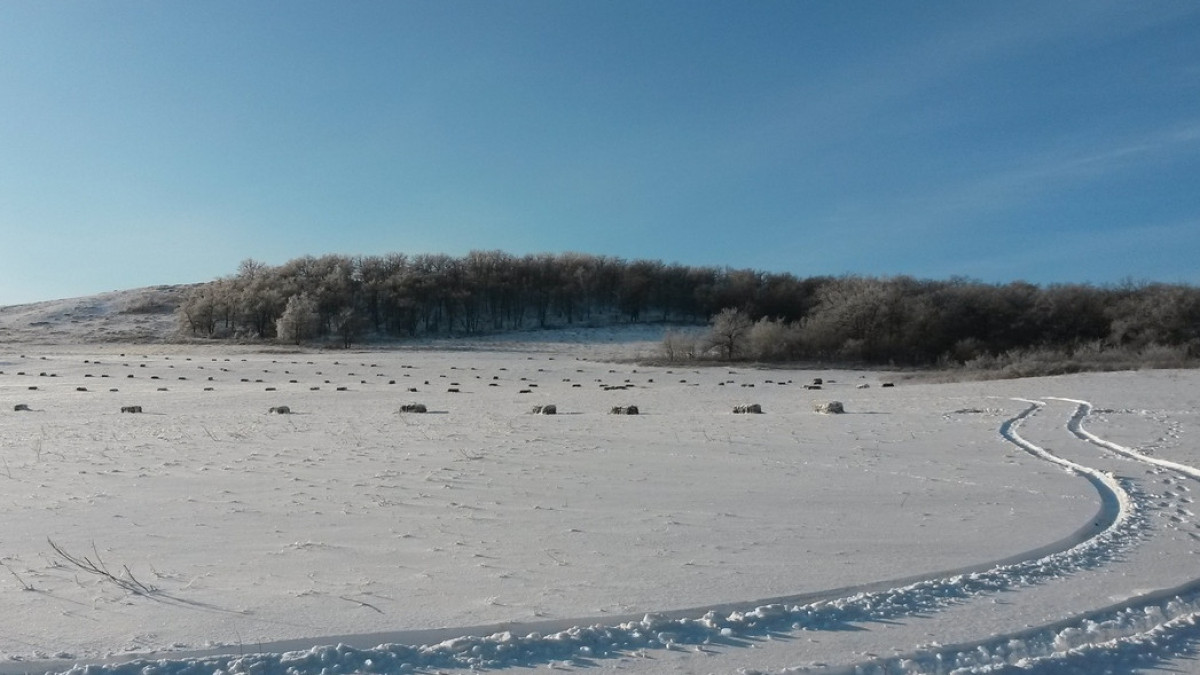  pikabu.ru/gyroscope5555