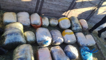 Фотография к новости: Свыше 200 килограммов наркотиков изъяли в Костанайской области