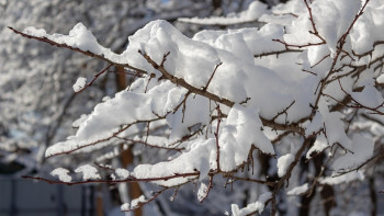 Фотография к новости: Штормовое предупреждение объявили по всему Казахстану