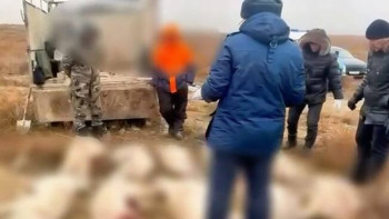 Фотография к новости: Браконьеров с тушами краснокнижной сайги задержали в Актюбинской области