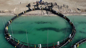 Фотография к новости: Казахстан инвестирует в рыбные корма и переработку рыбы