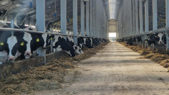 Фотография к новости: МСХ РК запустило льготное кредитование животноводства под 6%