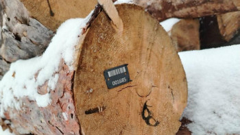 Фотография к новости: В Казахстане подведены итоги пилотного проекта по маркировке древесины