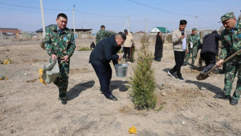 Фотография к новости: 30 саженцев высадили в Алматинской области в рамках акции «Проголосуй и посади свое дерево»