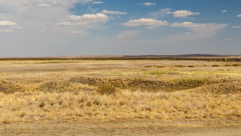 Фотография к новости: Ученые нашли неожиданный способ остановить пустыни