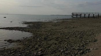 Фотография к новости: Новый НИИ Каспийского моря в Актау начал исследования обмеления и экологических рисков