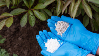 Фотография к новости: Импорт почти вдвое превышает производство: Что происходит на рынке удобрений Казахстана