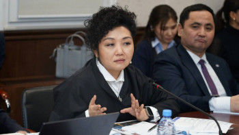 Фотография к новости: Новая Конституция усиливает защиту прав человека в цифровую эпоху – президент фонда «Әділ сөз»